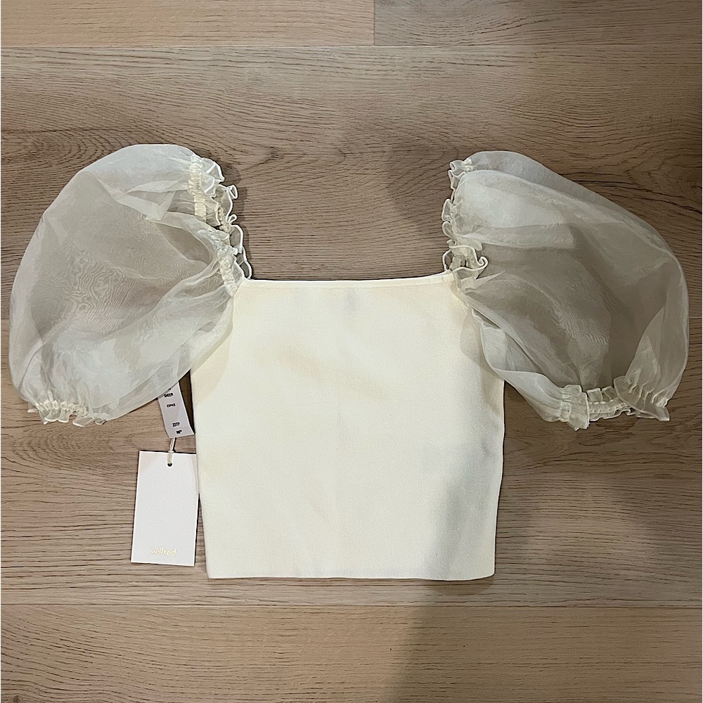 Aritzia Sheer Sleeve Top